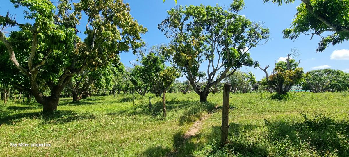 25 ac Land at Mtwapa - 12