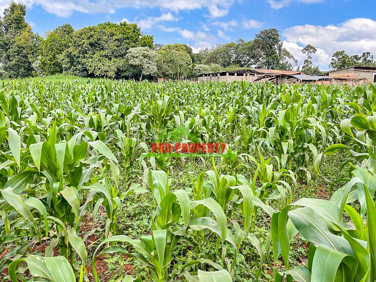 7.5 ac Land in Kikuyu Town - 13