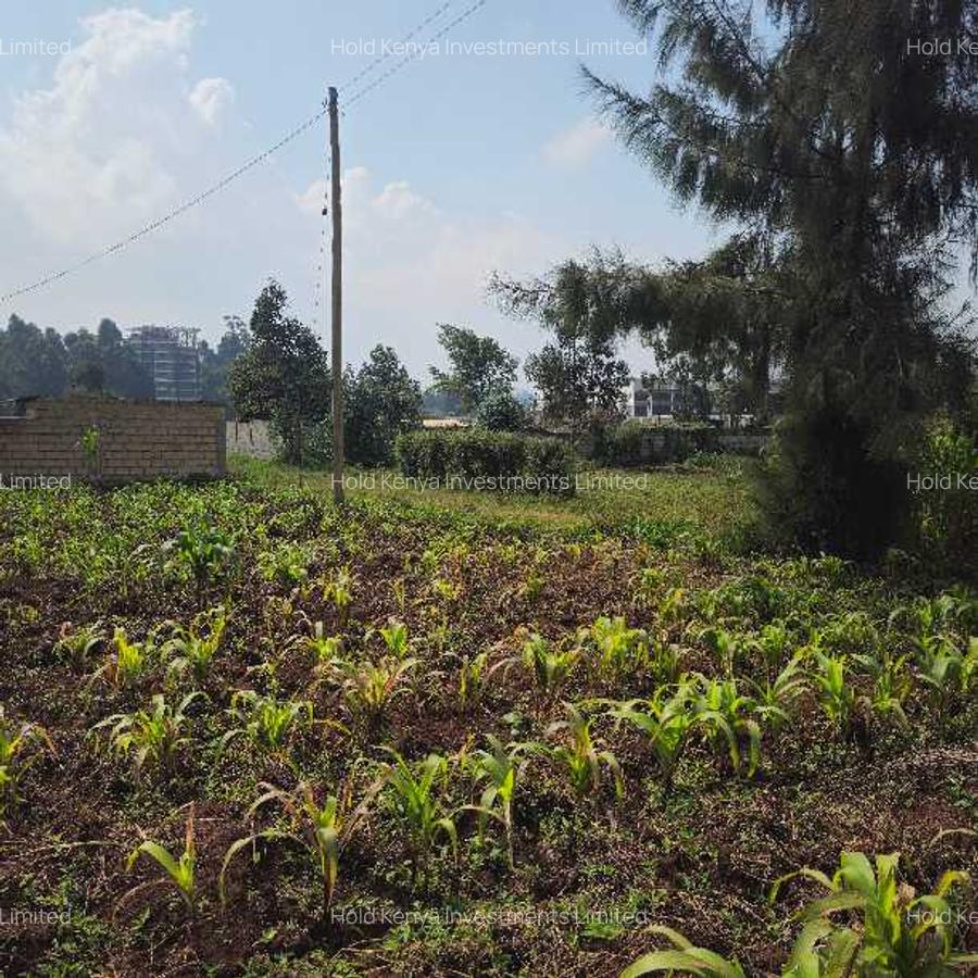 Land at Limuru Road - 13