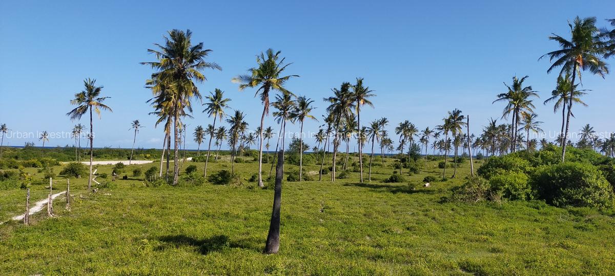 Land at Bofa Beach - 10