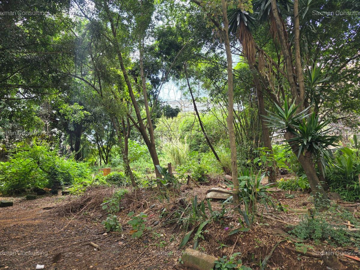Land in Hurlingham - 8