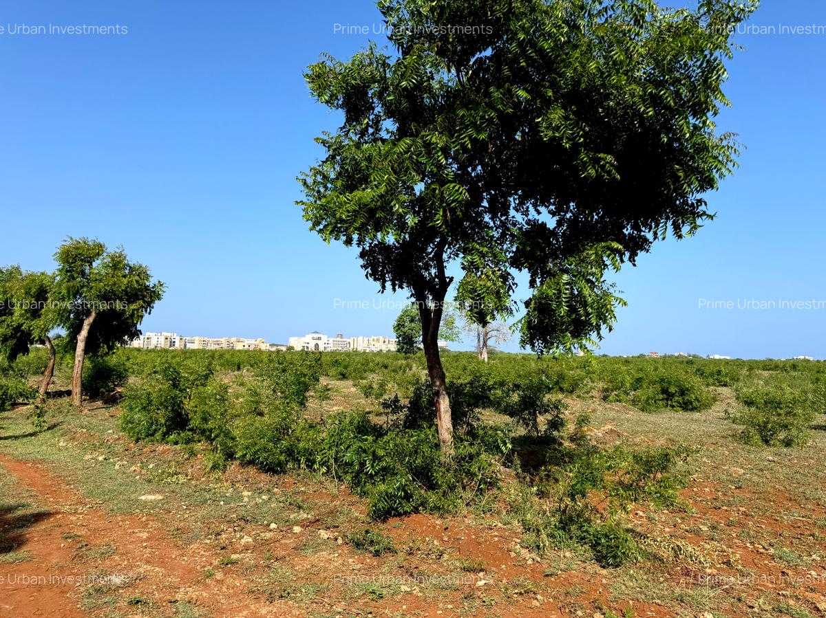 5 ac Land at Utalii -Campus - Vipingo - 15