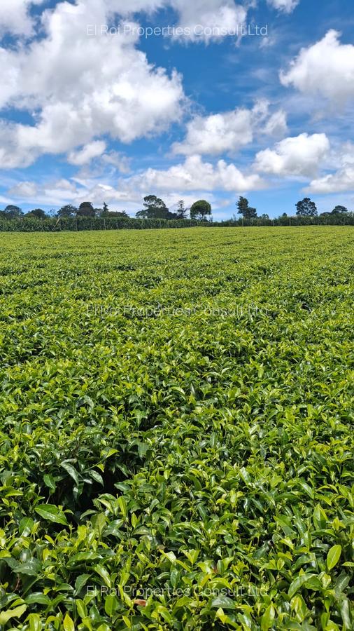 1 ac Residential Land at Limuru Girls High School - 4