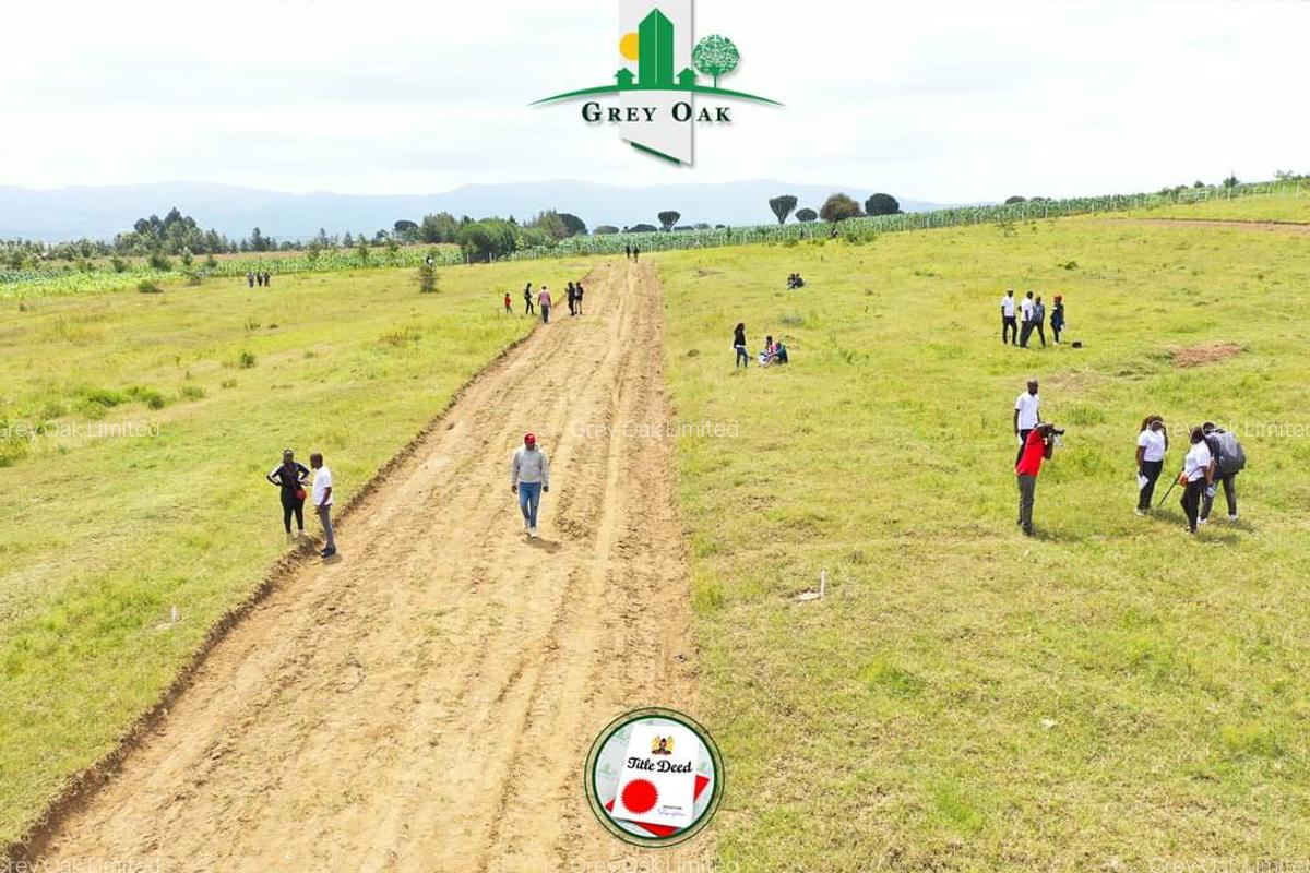 0.0430 ha Residential Land in Naivasha - 12