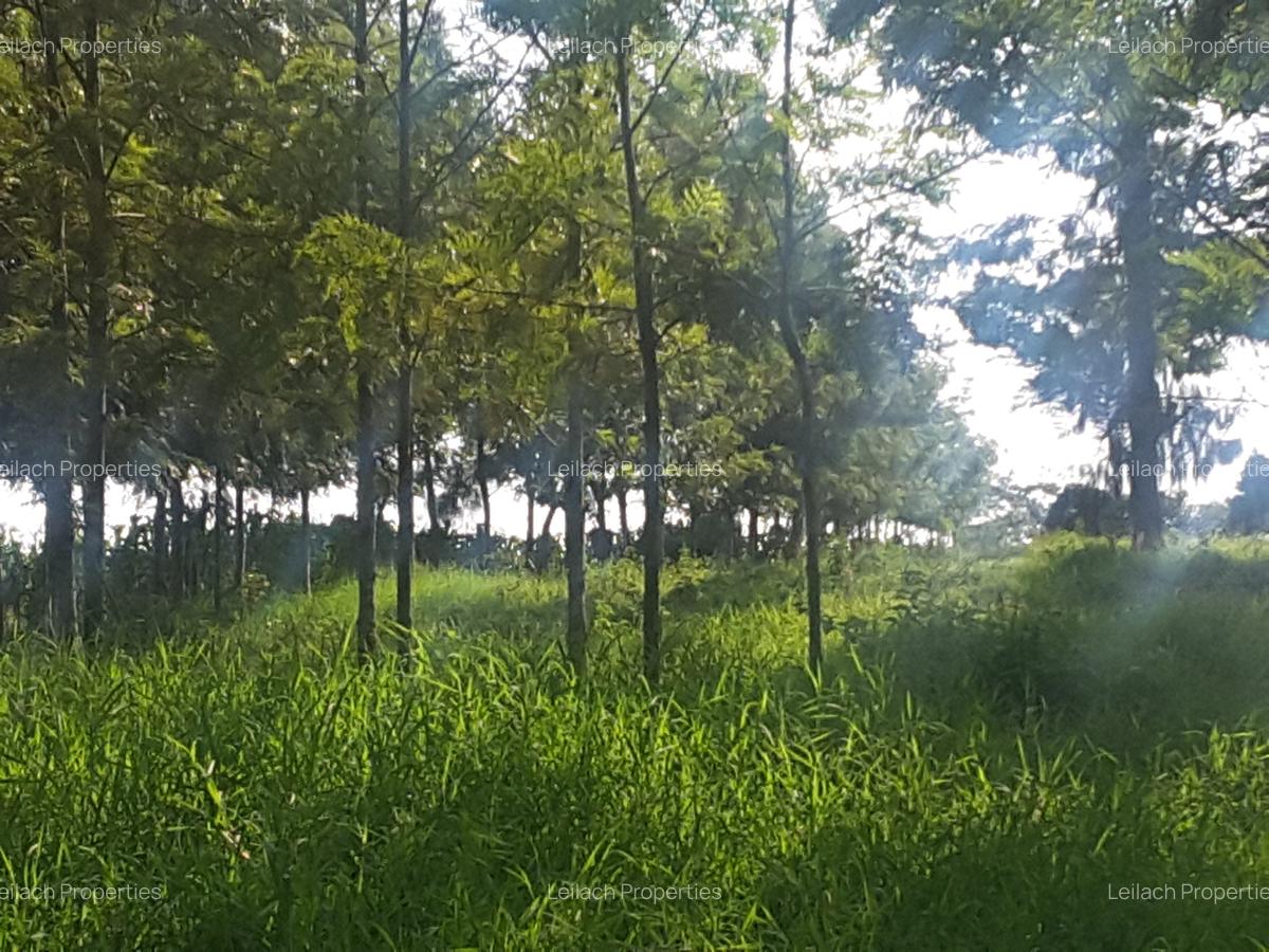 1.2 ac Land in Ngong - 7