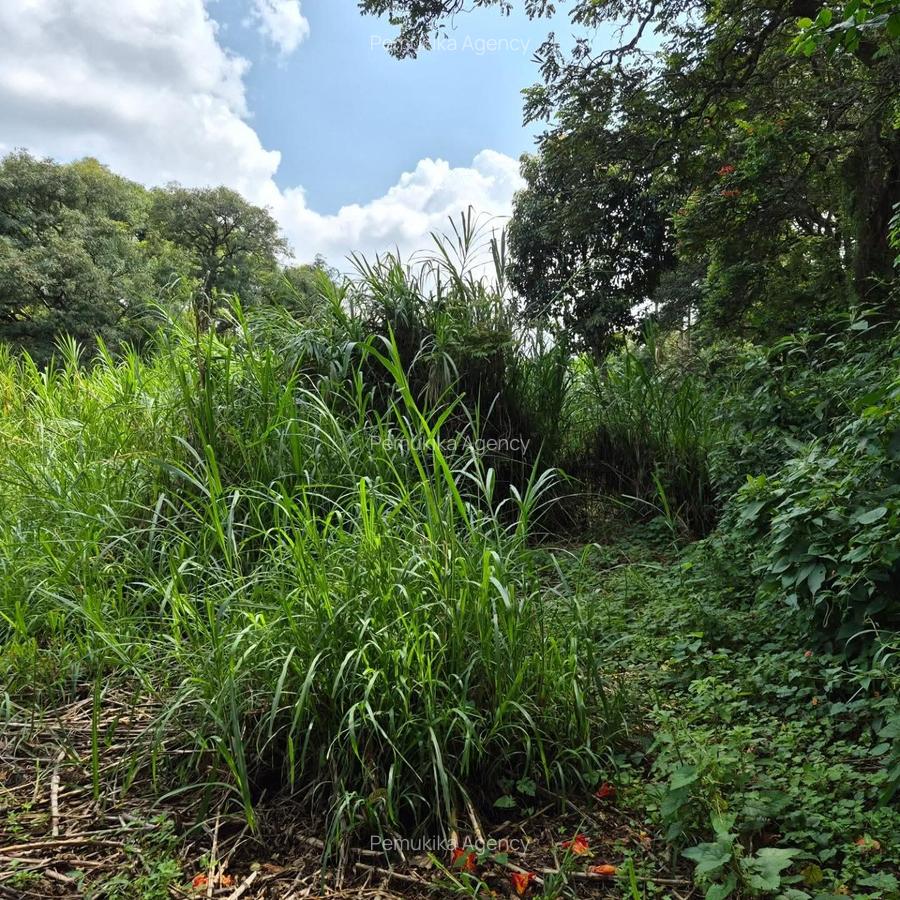 Commercial Land in Kitisuru - 9