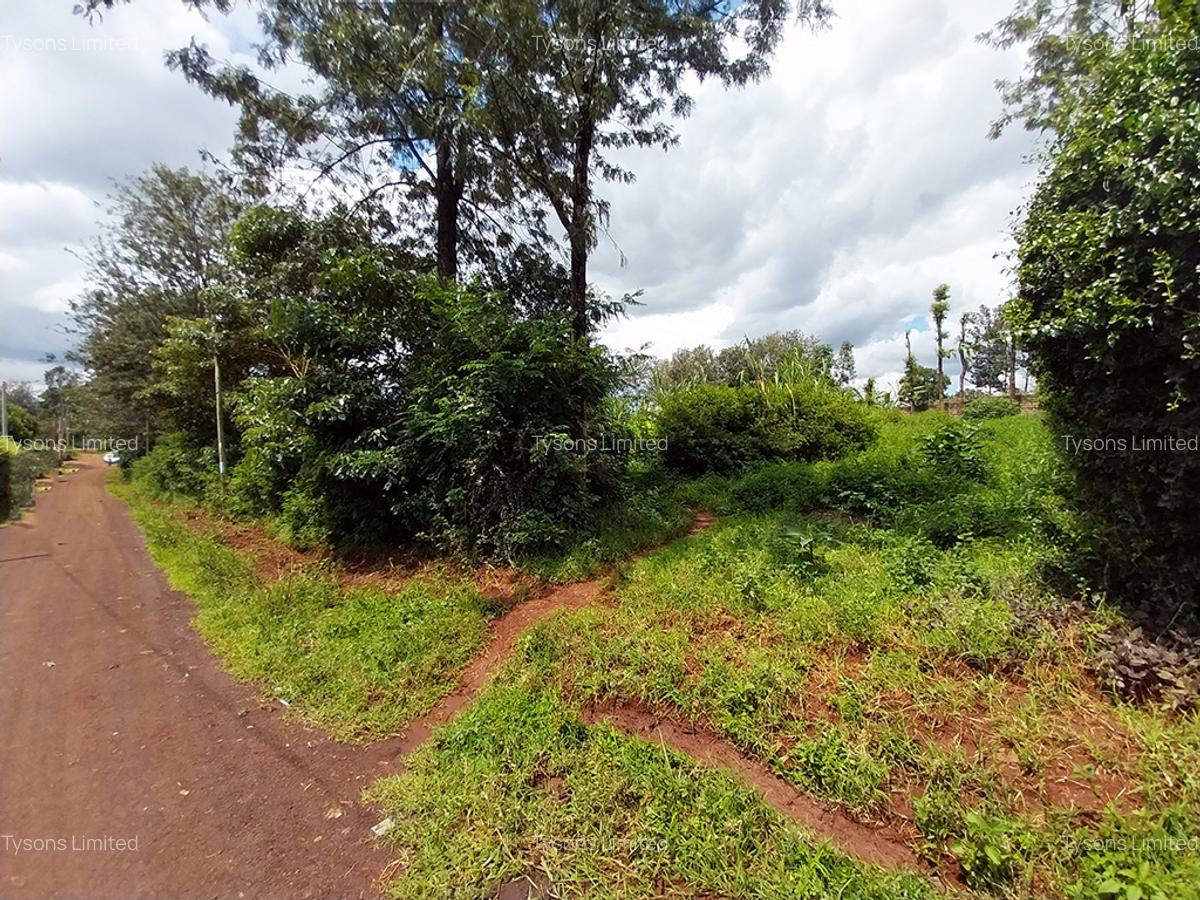 0.64 ac Residential Land in Thindigua - 6