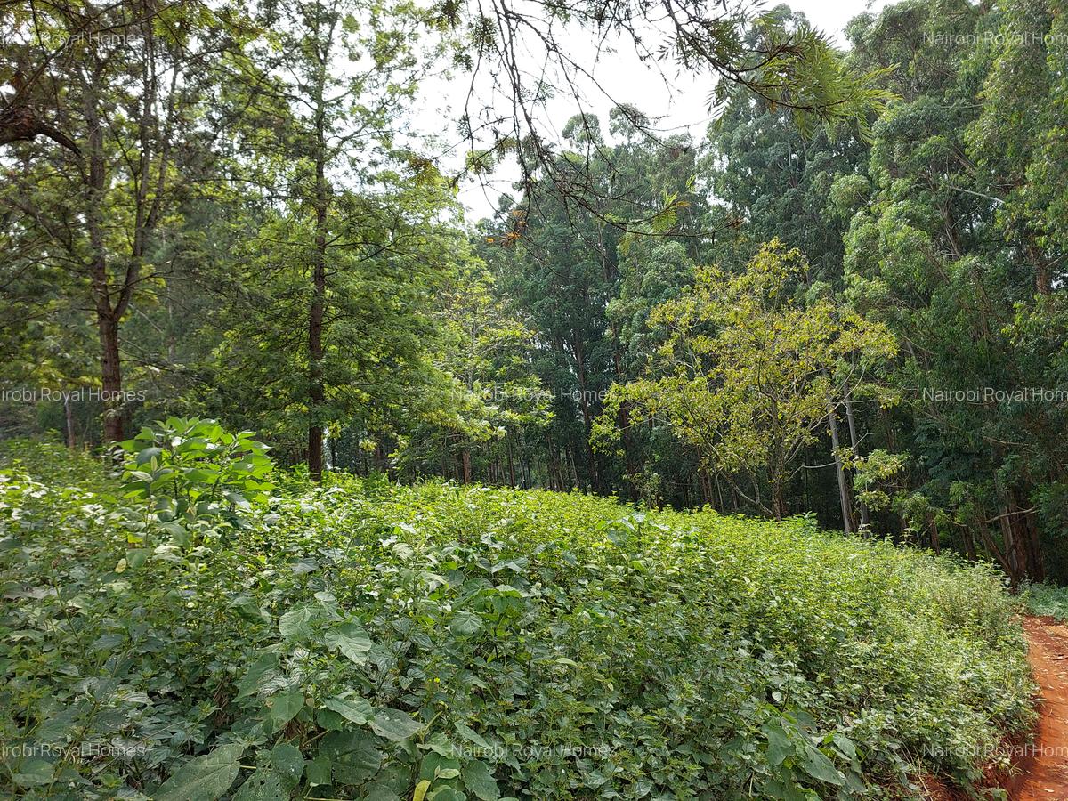 Residential Land at Runda Grove - 7