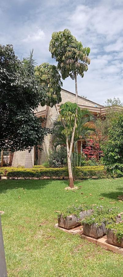 5 Bed House with En Suite at Nyari - 12