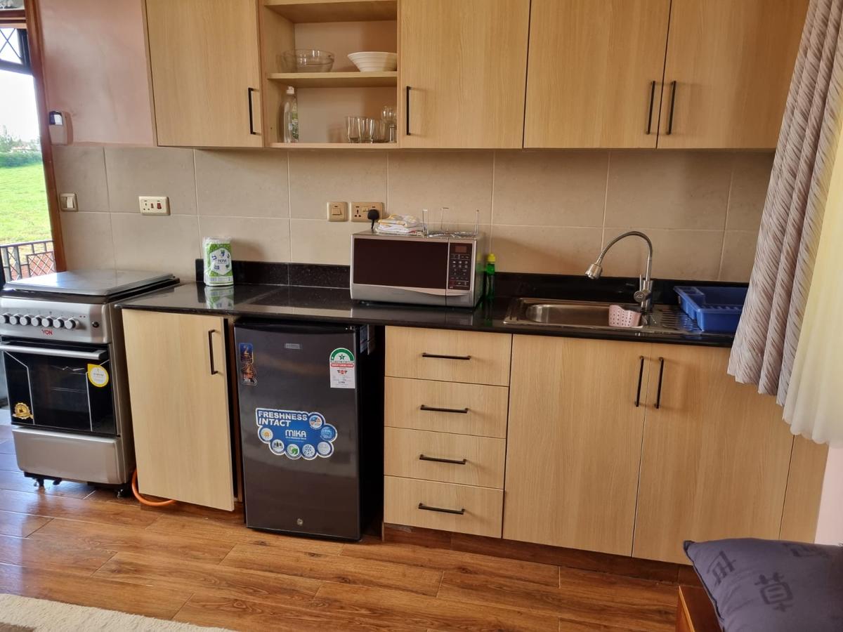 Serviced 1 Bed Apartment with Garden in Kiambu Town - 13