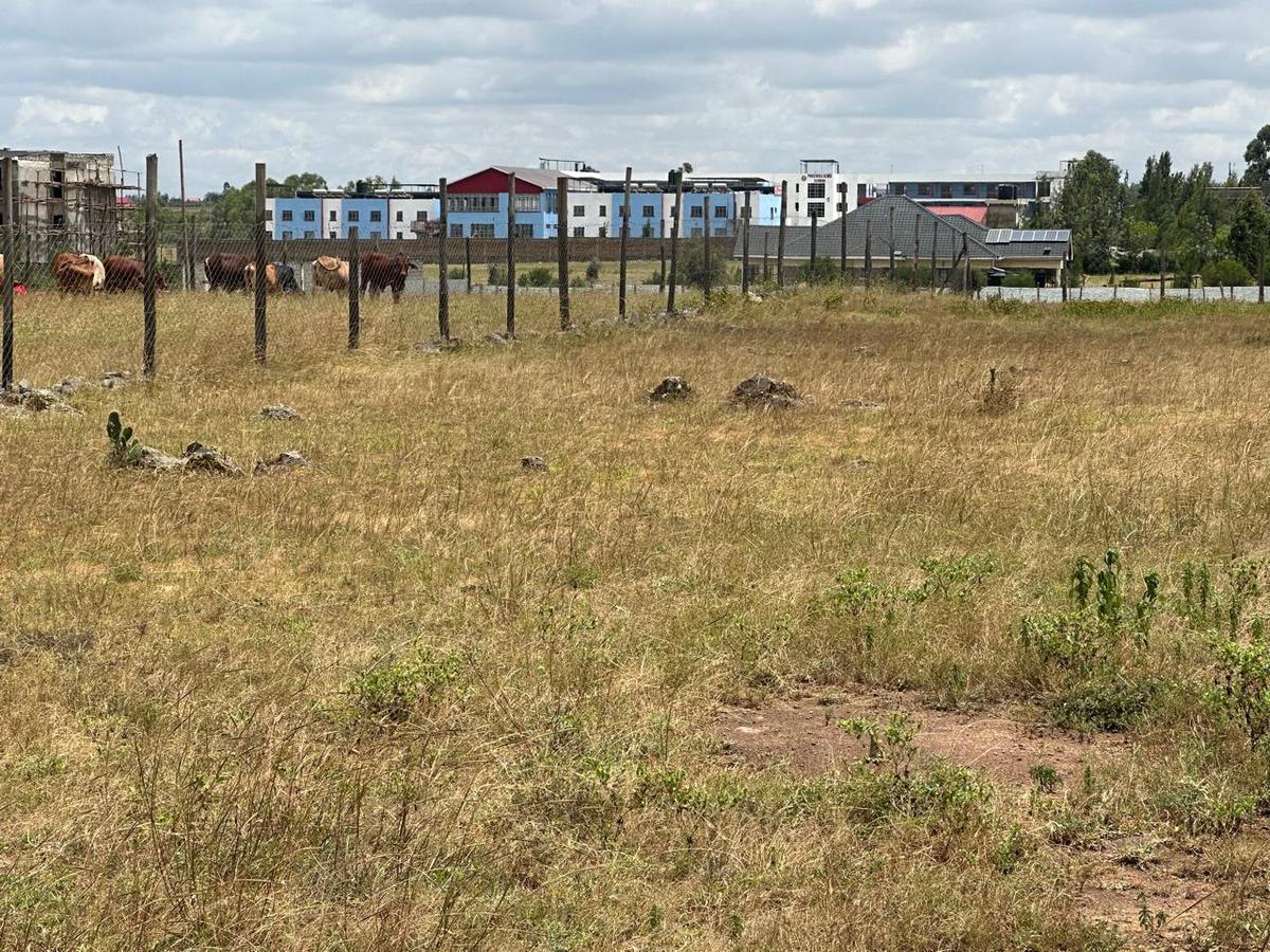 Land at Maasai Lodge - 6