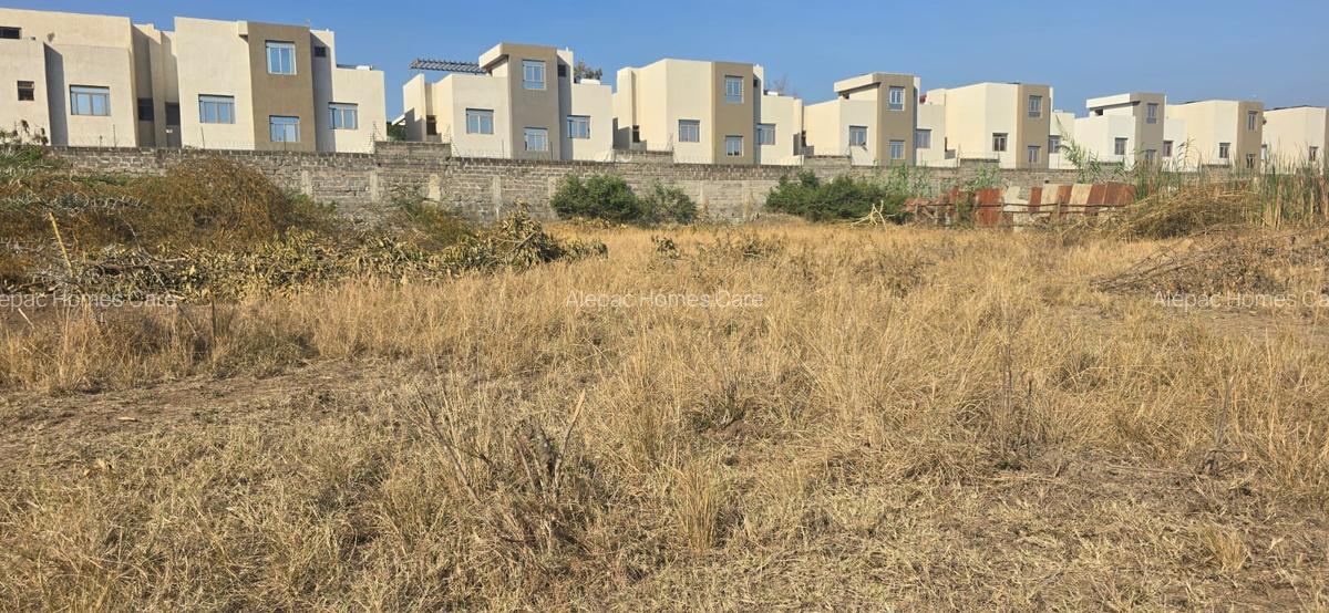 1.25 ac Land at Kamakis - 4