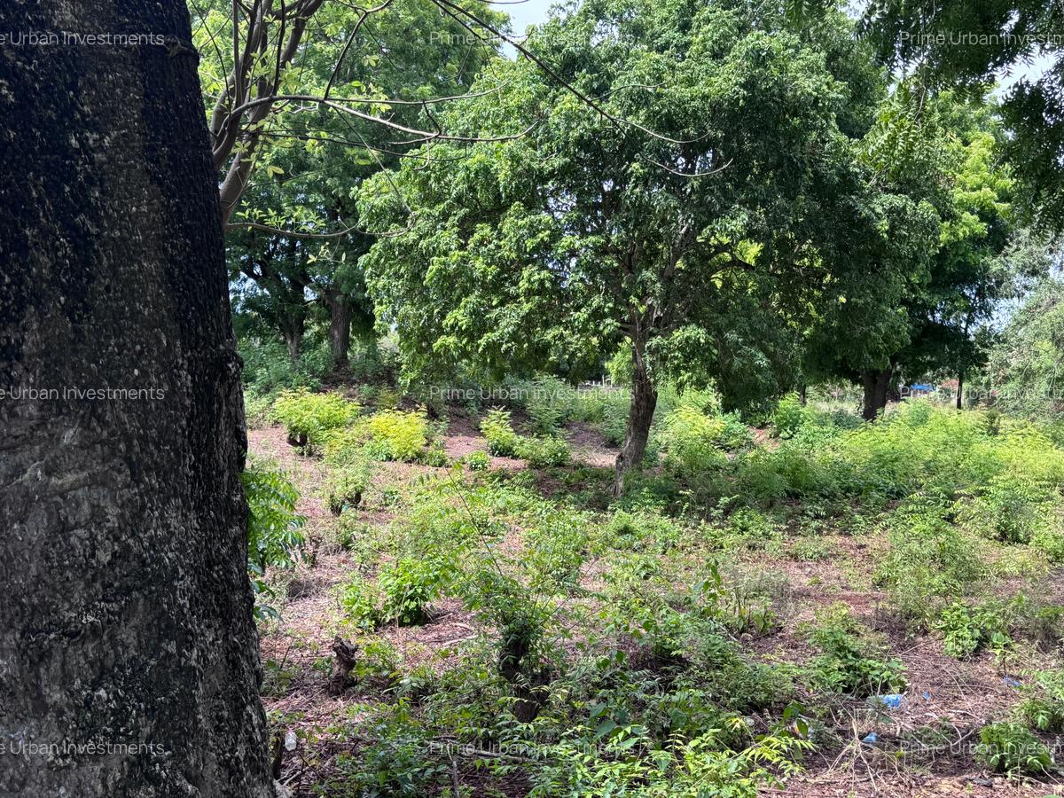 8,093.72 m² Land at Diani 3Rd Row Beach - 12