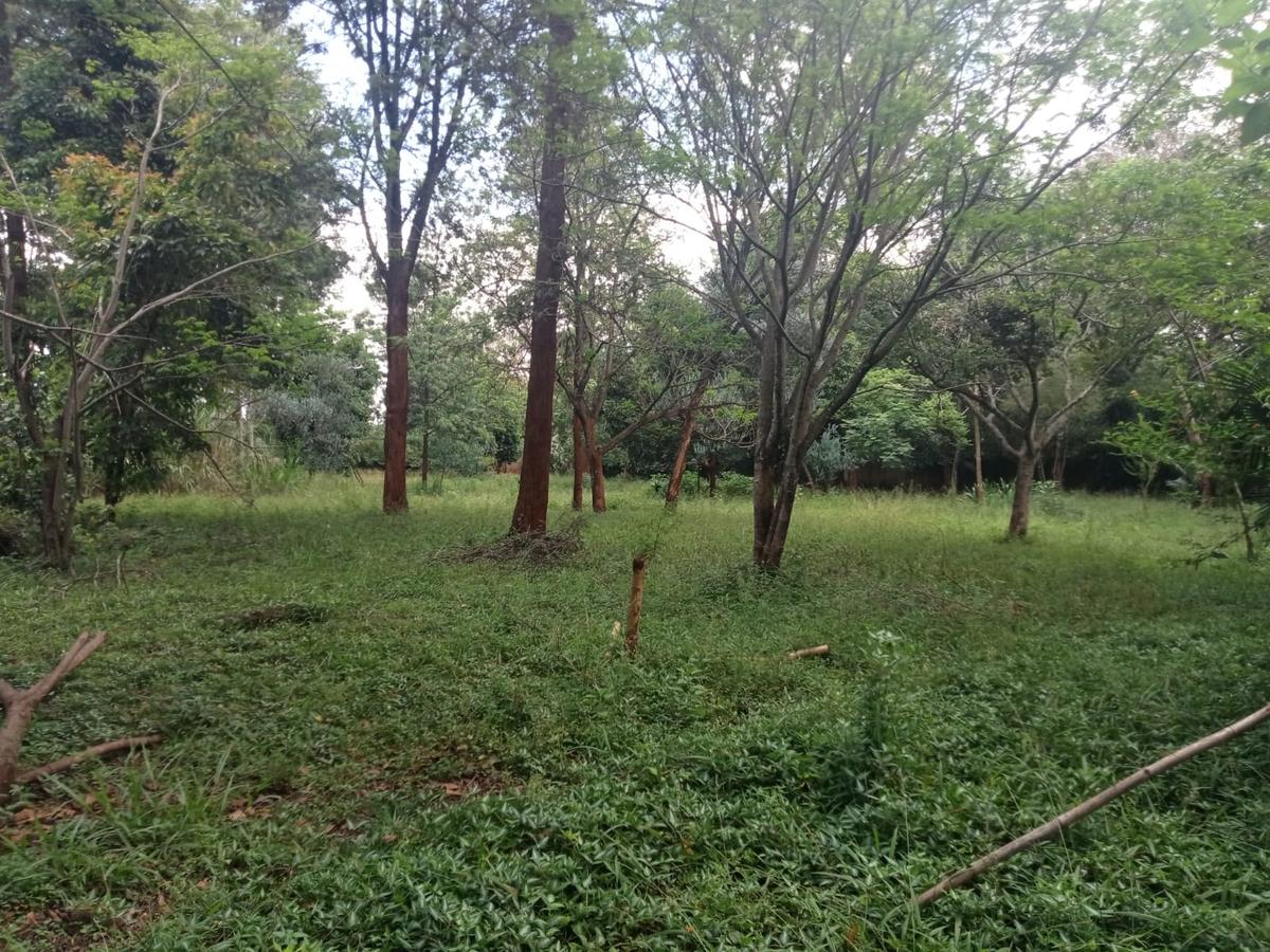 Land at Kitisuru Road - 7