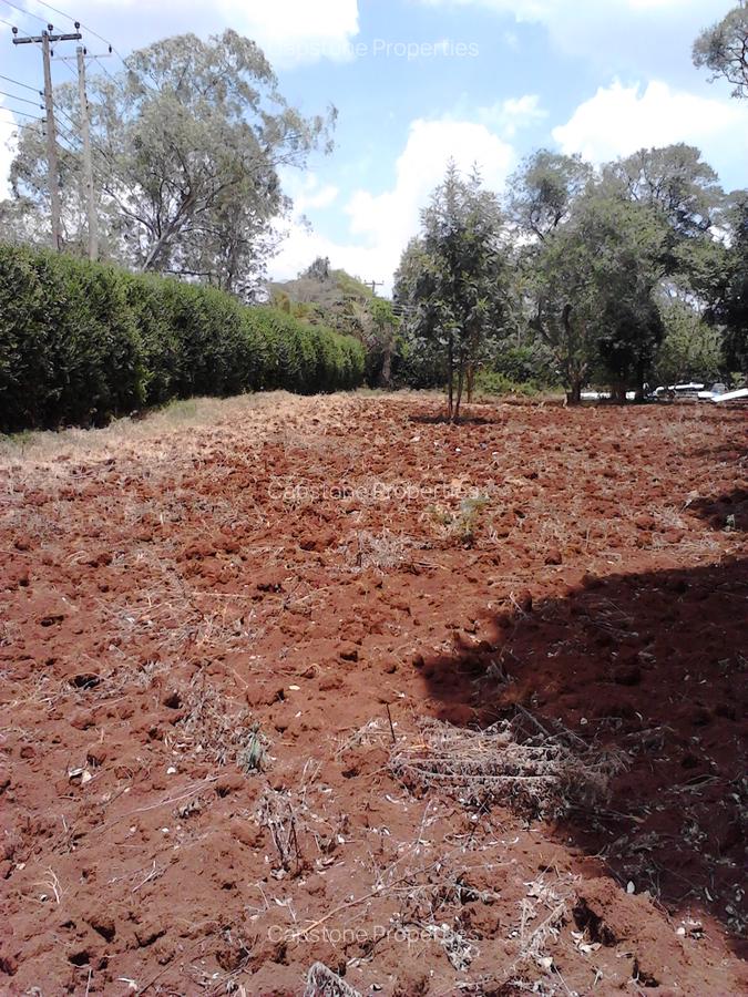 Residential Land at Runda - 4