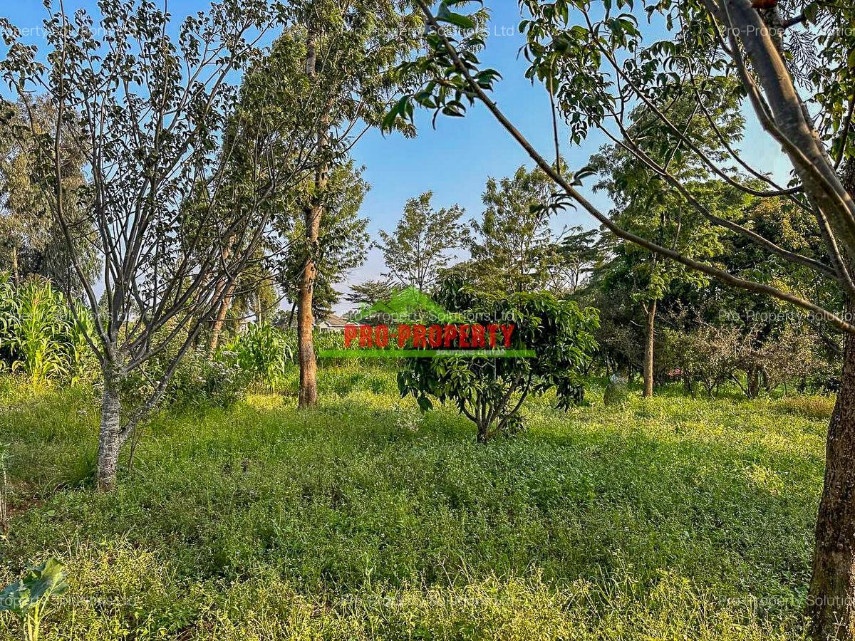 0.2 ha Commercial Land in Ndeiya - 8