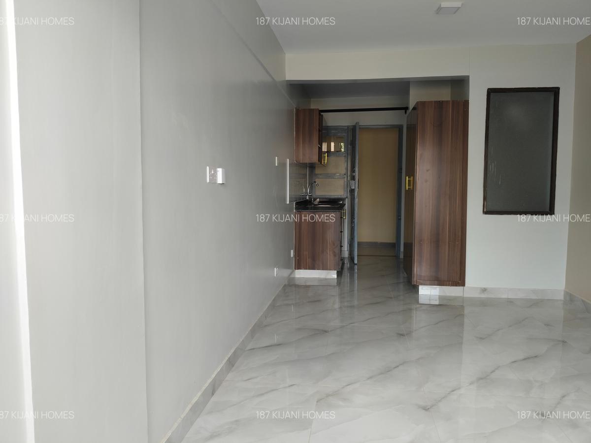 Studio Apartment with En Suite at Naivasha Road - 8
