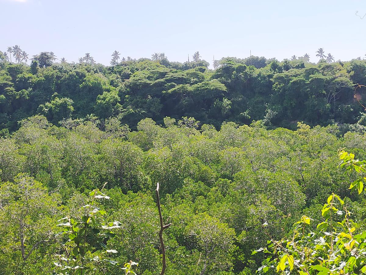 Land in Kilifi County - 13
