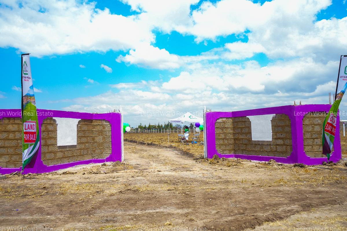 0.13 ac Land in Joska - 1