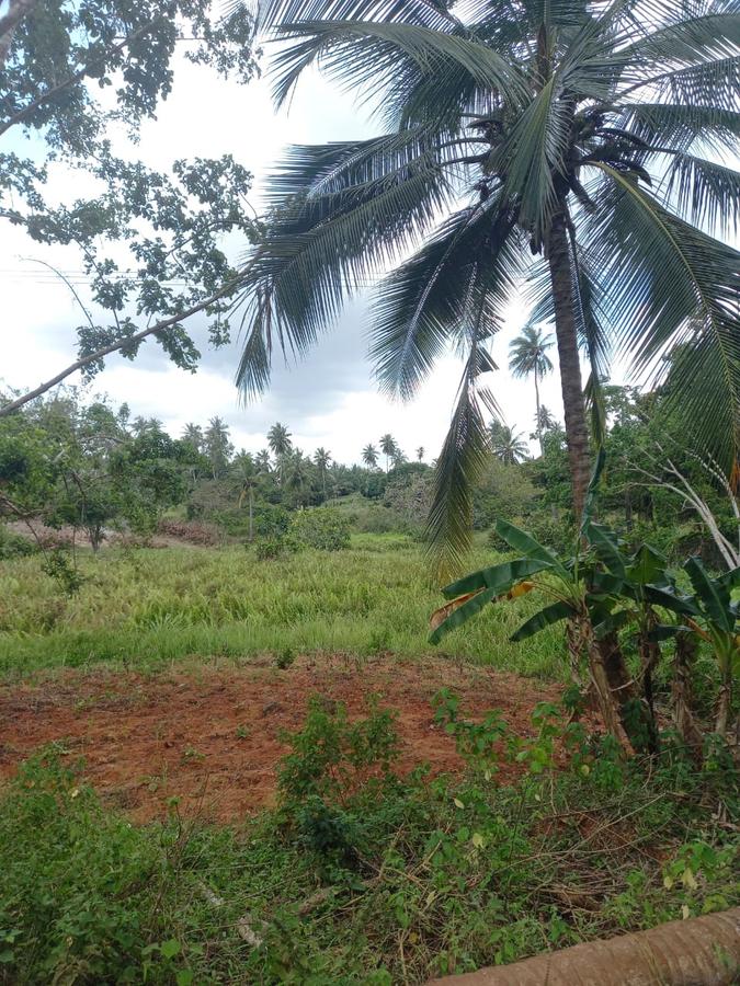 6 ac Land at Msambweni - 6