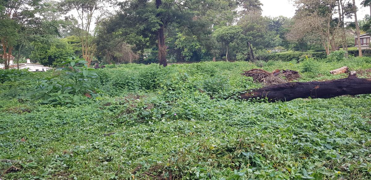 Residential Land at Shanzu Road - 1