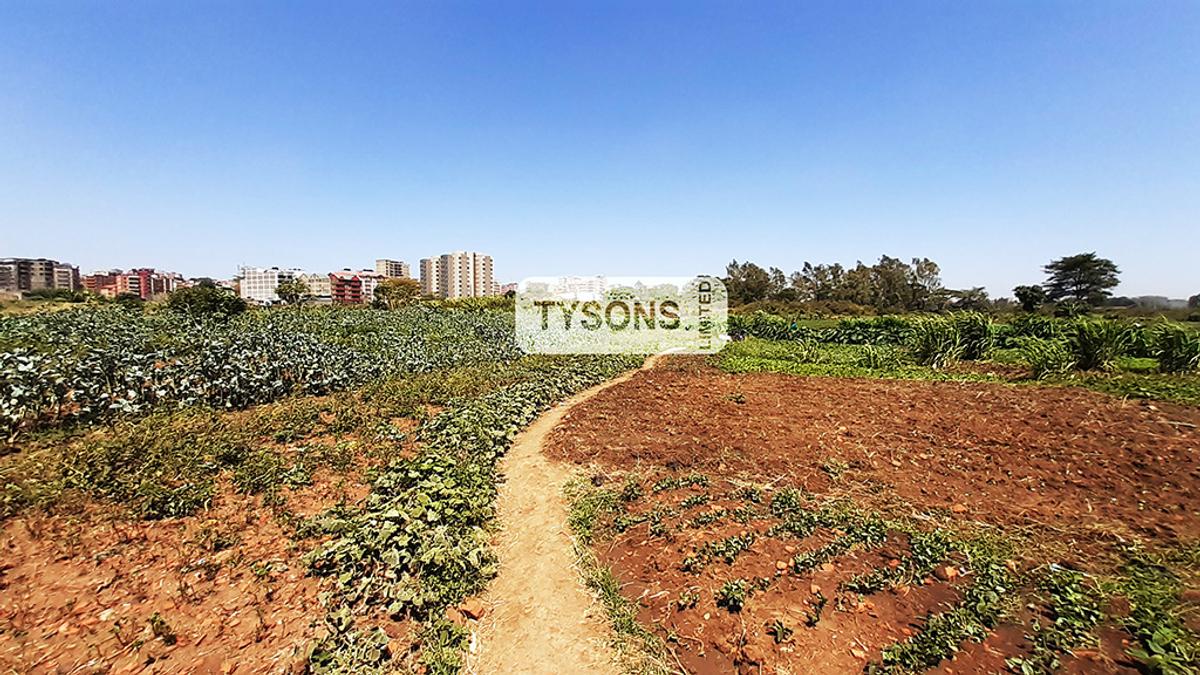 18.5 ac Commercial Land in Kasarani - 3