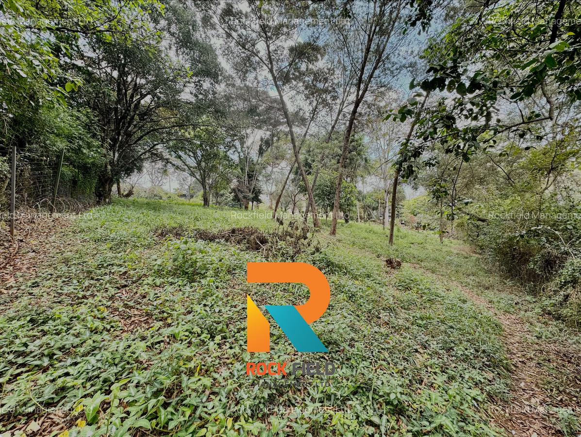 4.08 ac Land at Farasi Lane - 6