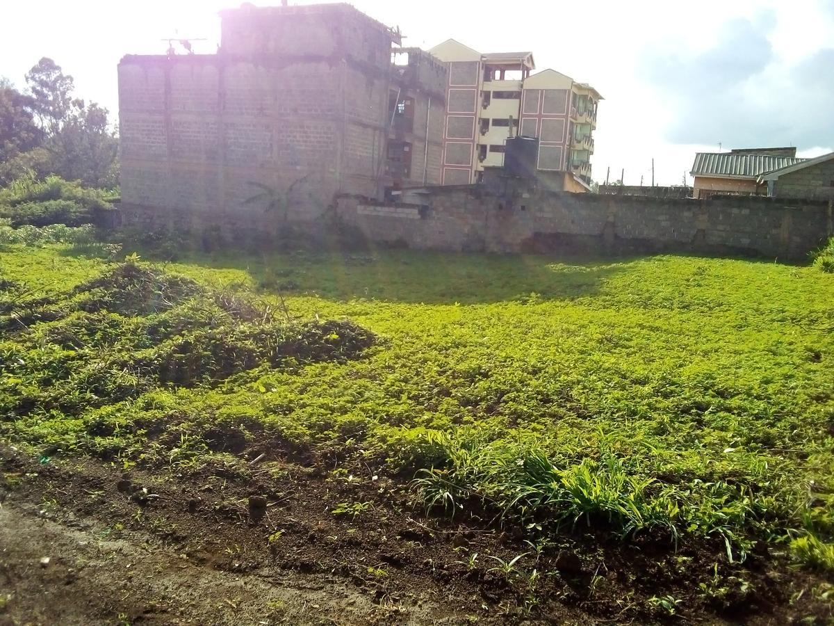 5,000 ft² Commercial Land at Juja Town Gatundu Road Juja - 6