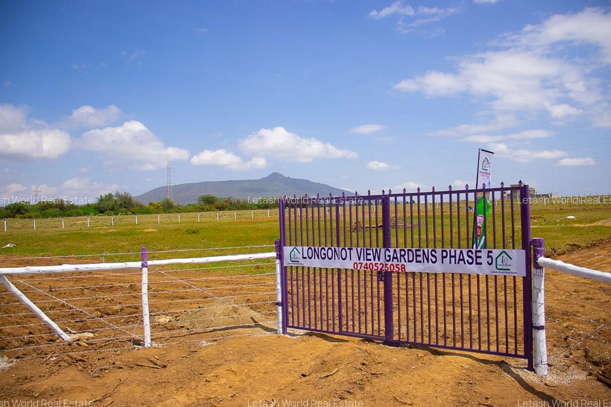 Residential Land in Naivasha - 3