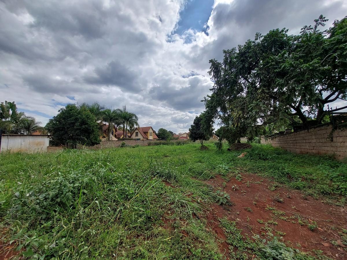 Residential Land at Ruaka Road - 1