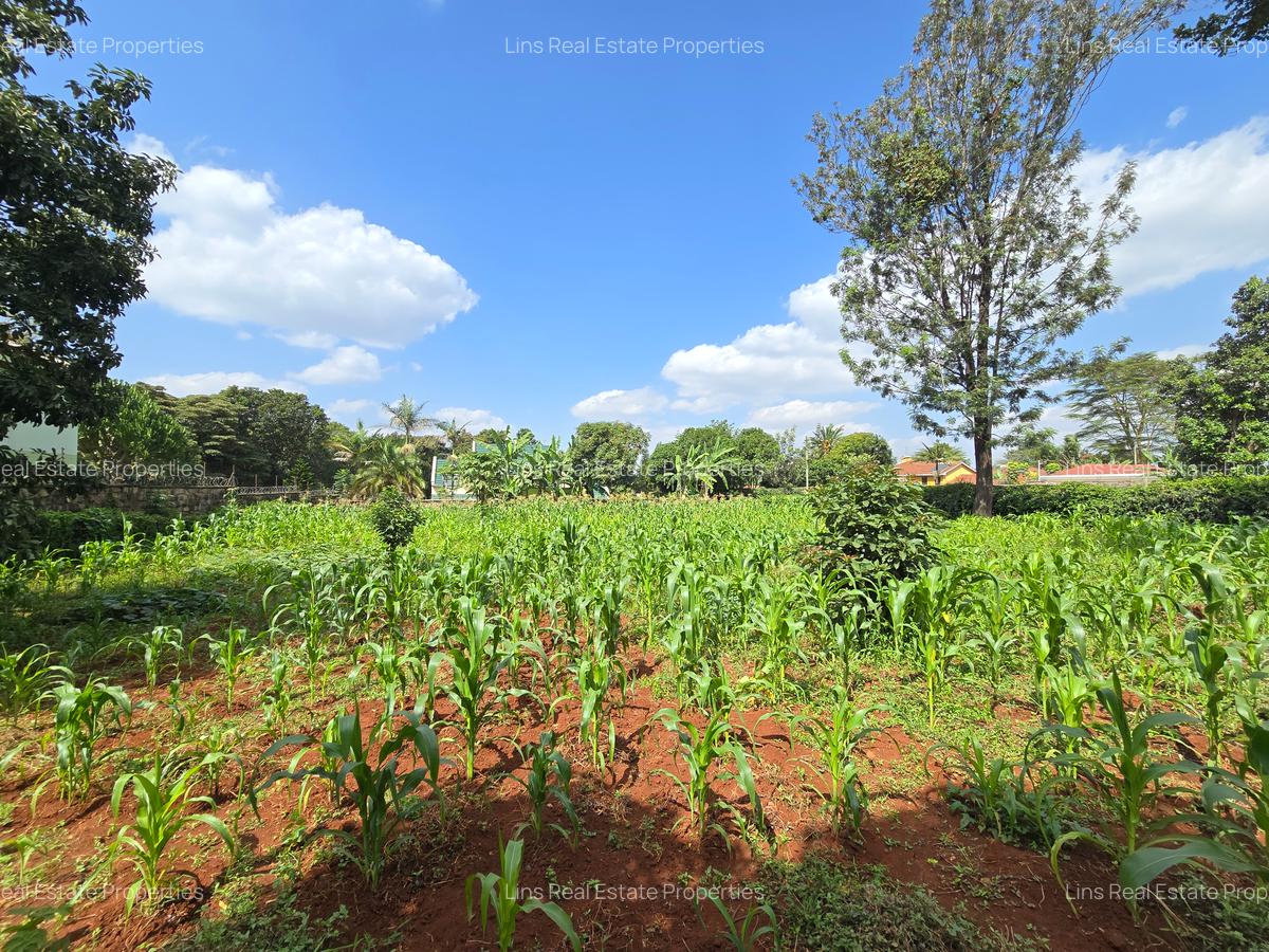 Residential Land in Runda - 6