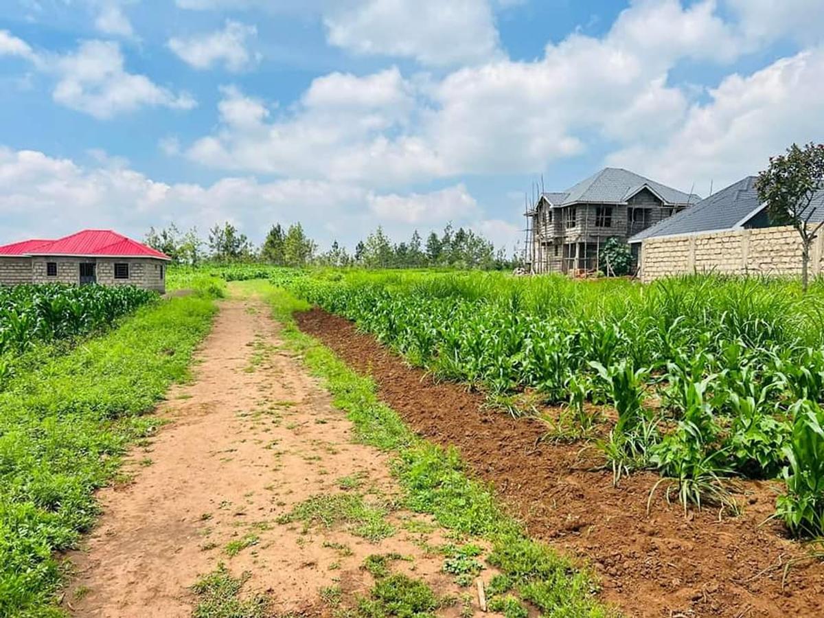 Land at Kamangu - 4