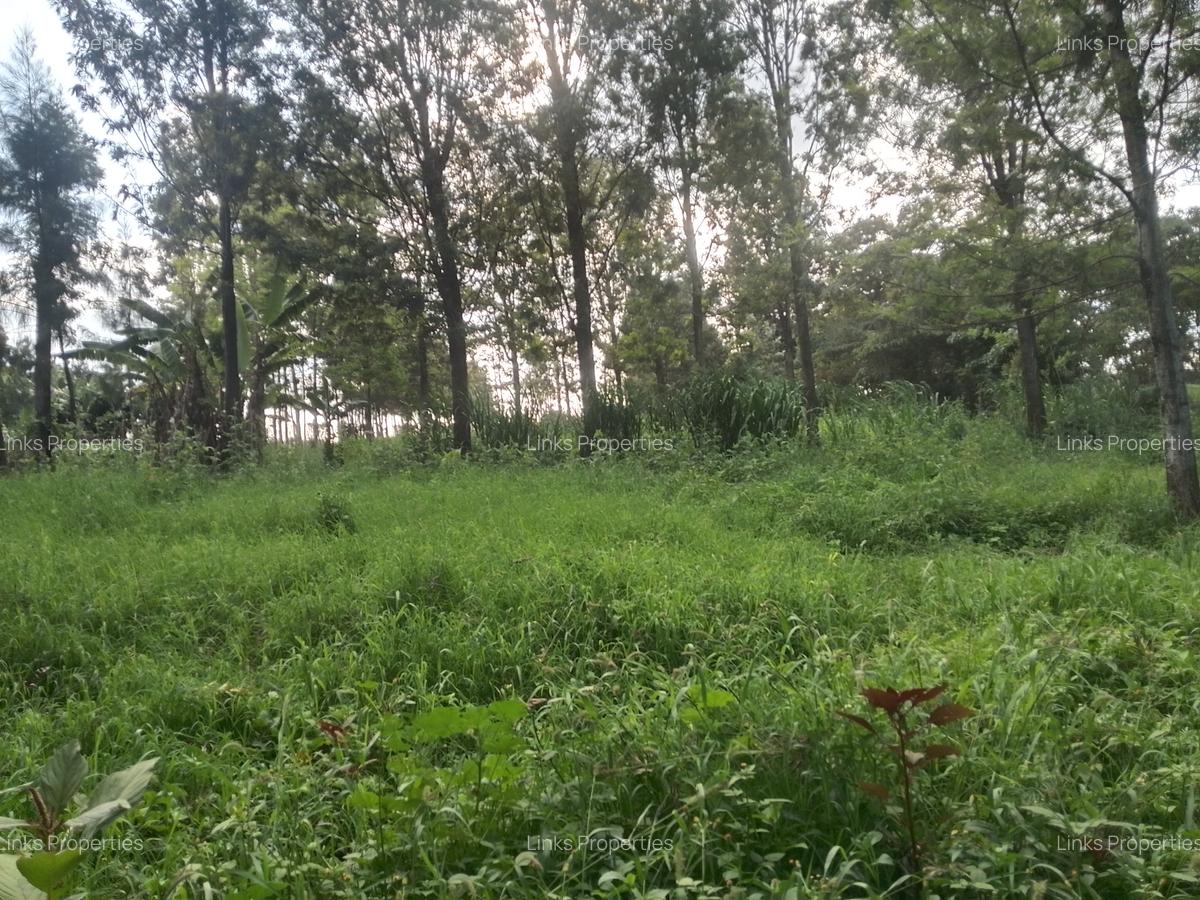 Land at Kibiko Ngong - 9