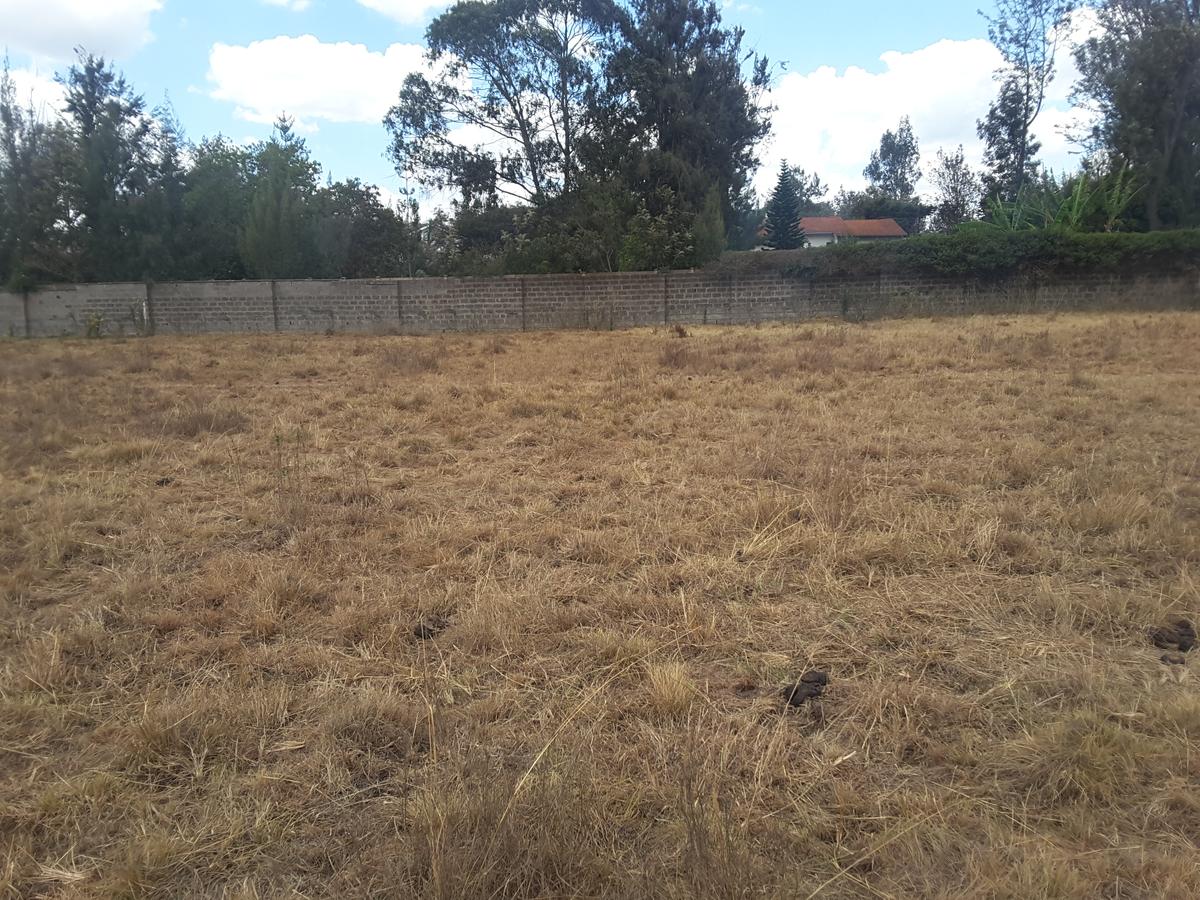 0.5 m² Residential Land in Karen - 9