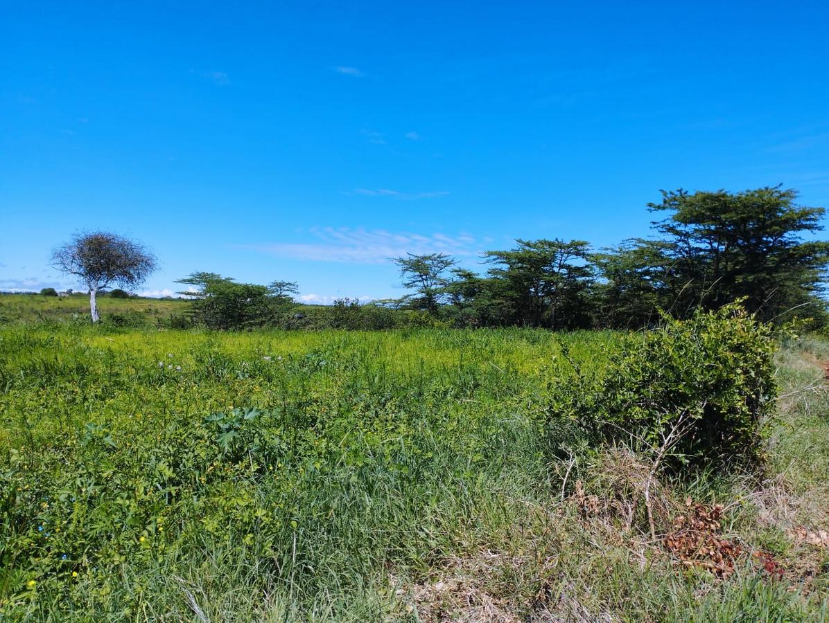 8.5 ac Land at Jua Kali - 6