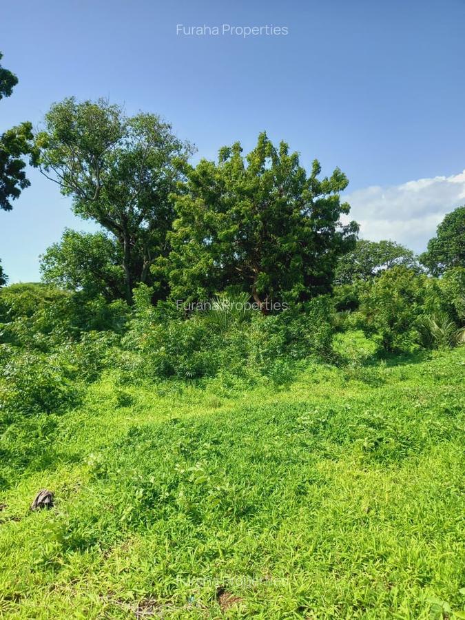 0.25 ac Residential Land in Vipingo - 5