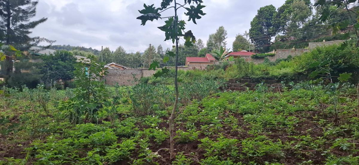 0.5 ac Land in Ngong - 1