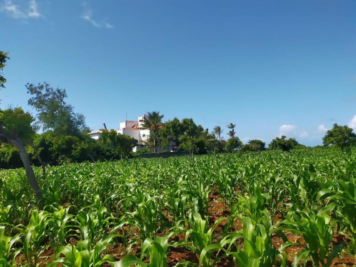 Land in Kilifi County - 7
