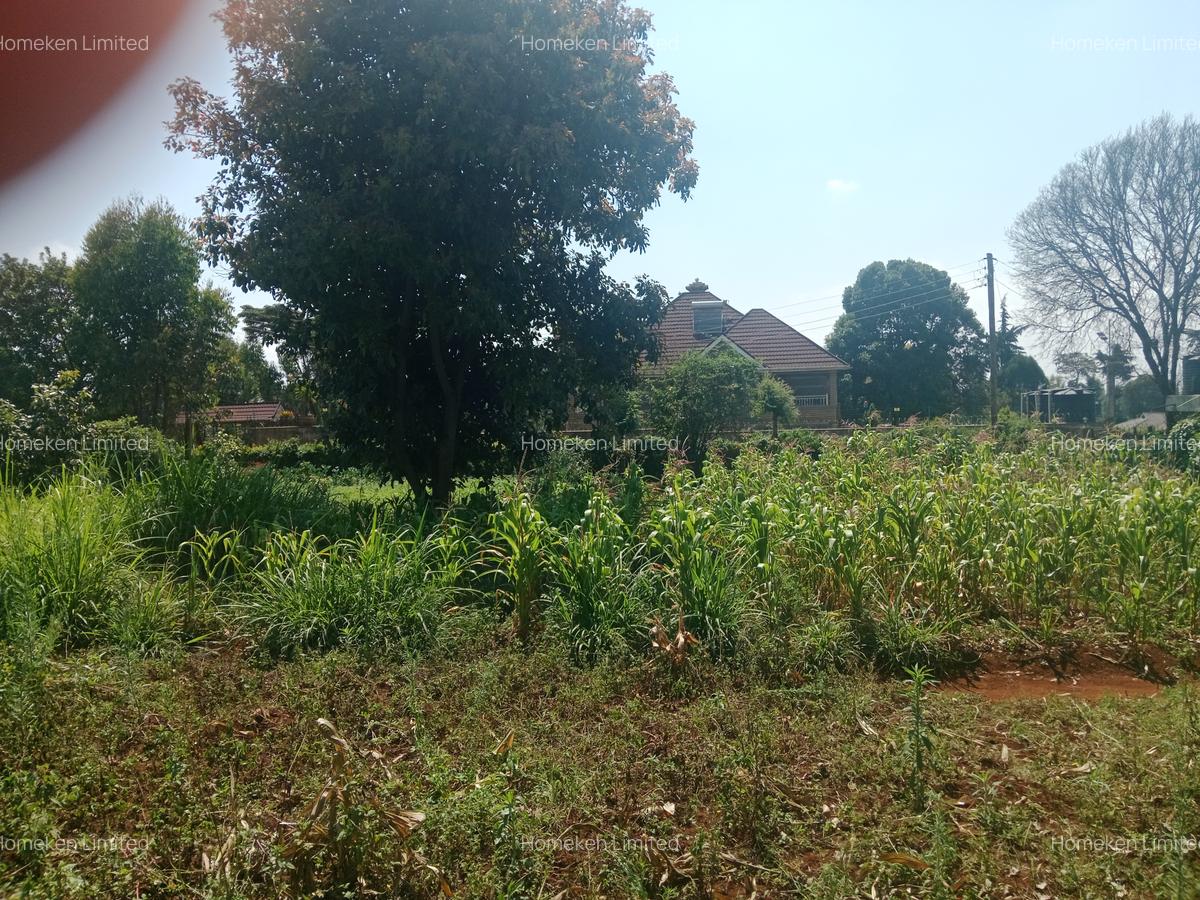 1 ac Land at Ngecha - 4