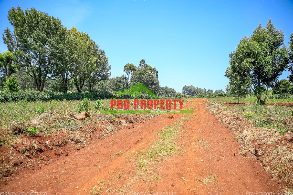 0.05 ha Residential Land at Ondiri - 10