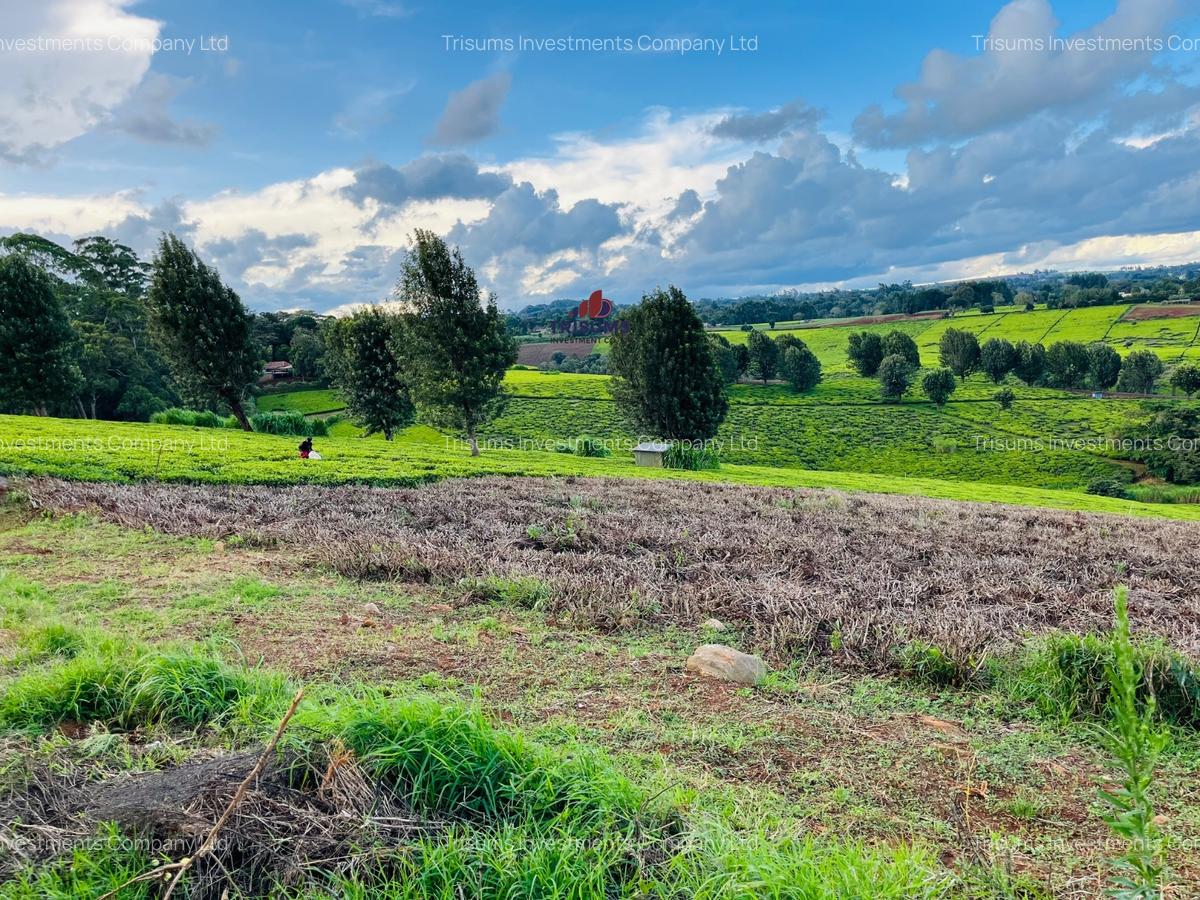 40 ac Land in Limuru - 7