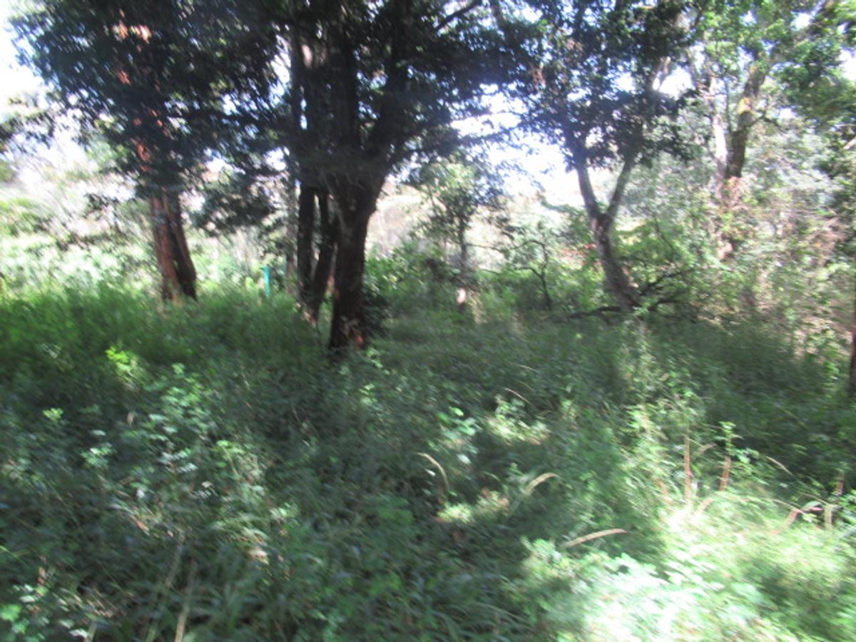 Residential Land at Mwitu Estate - 8