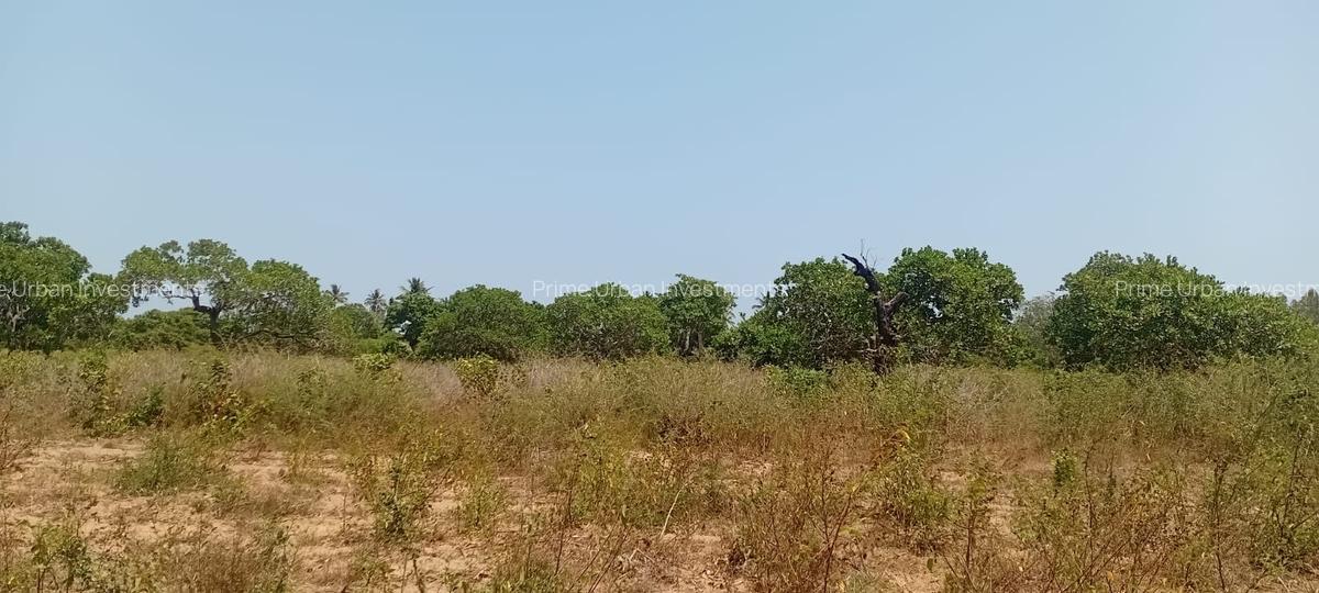 4 ac Land at Matsangoni - 10