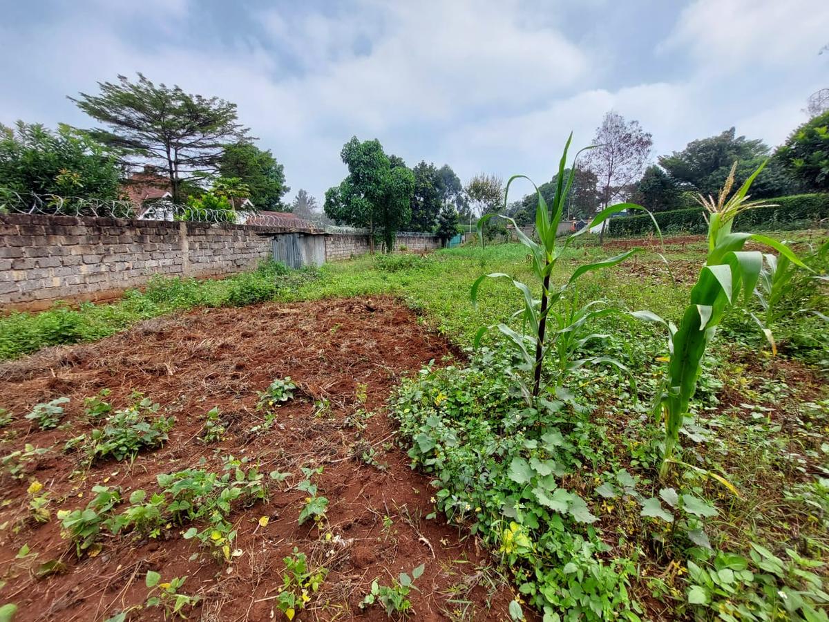 Residential Land at Pan African Insurance Avenue - 7