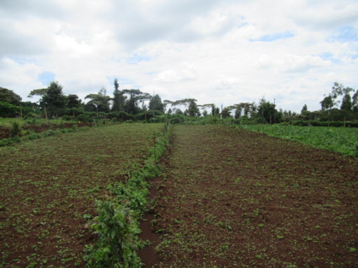 3.25 ac Land at Ngecha-Wangige Rd - 5