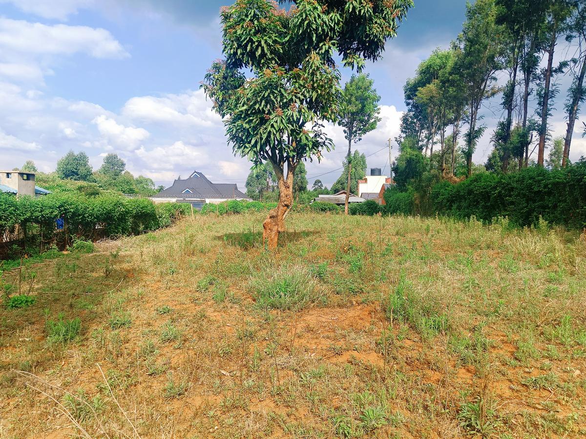 1,000 m² Residential Land at Karie - 2