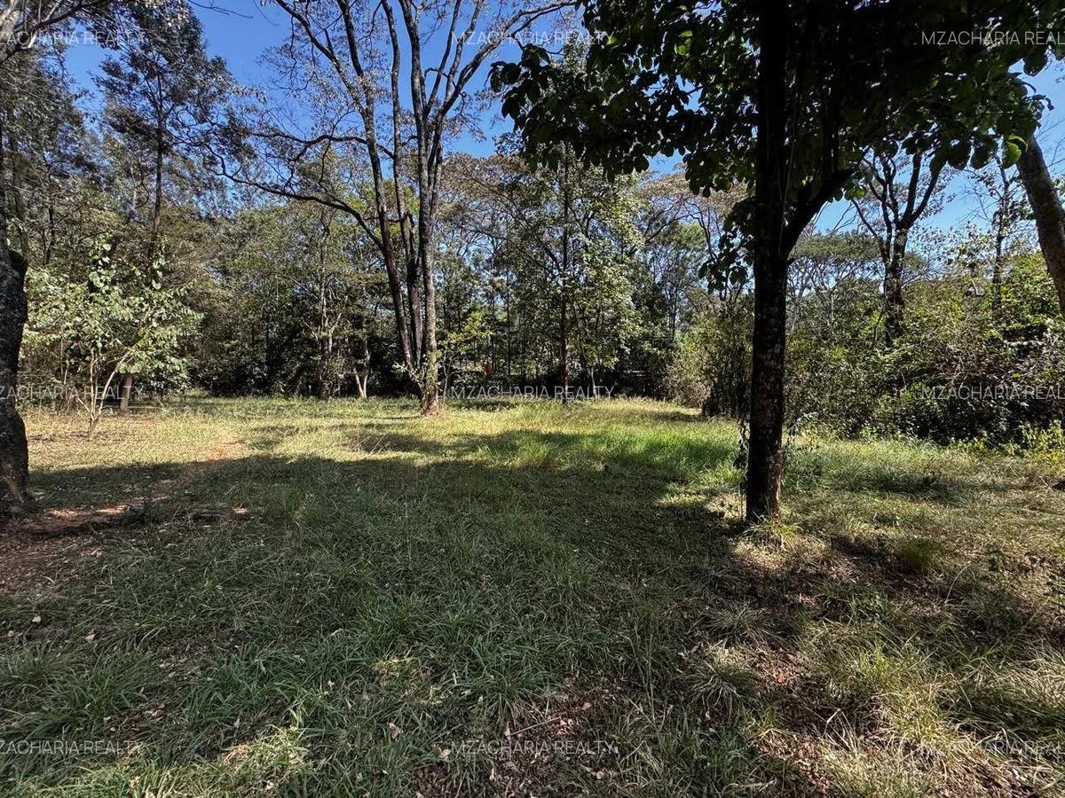 2.7 ac Land in Karen - 7