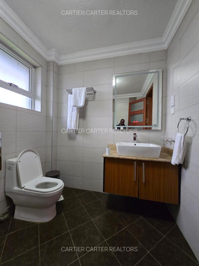Furnished 2 Bed Apartment with En Suite in Kiambu Road - 13