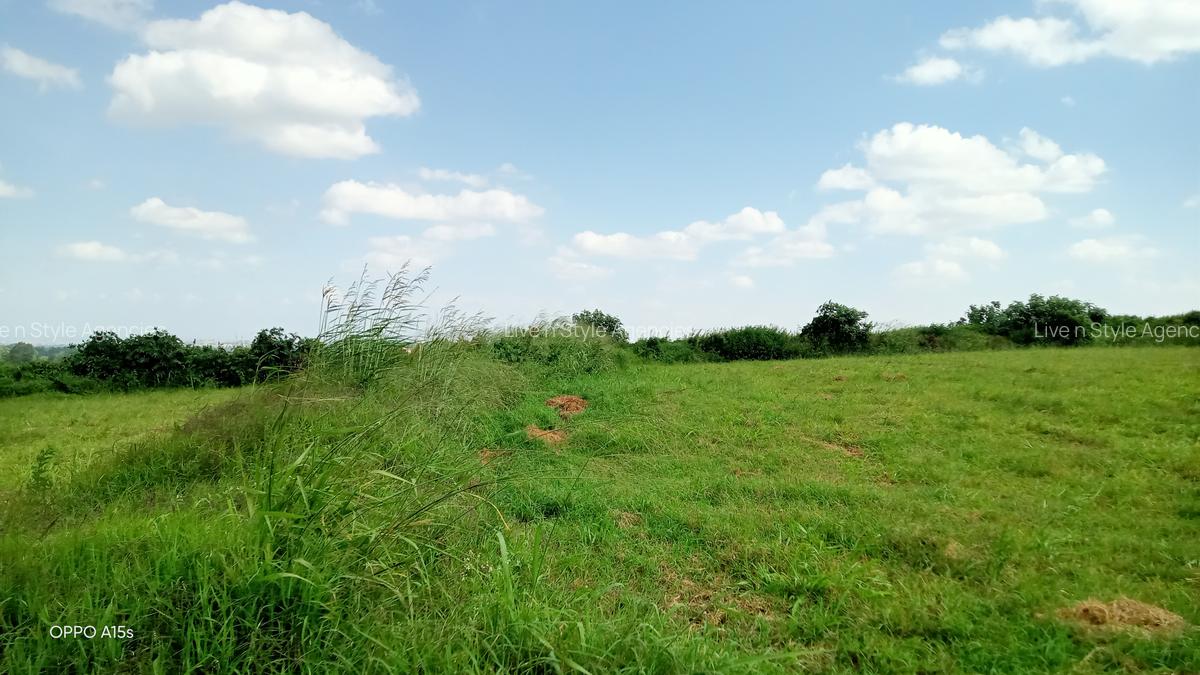 Residential Land in Runda - 10