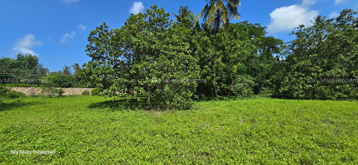 20 ac Land at Mtwapa - 11